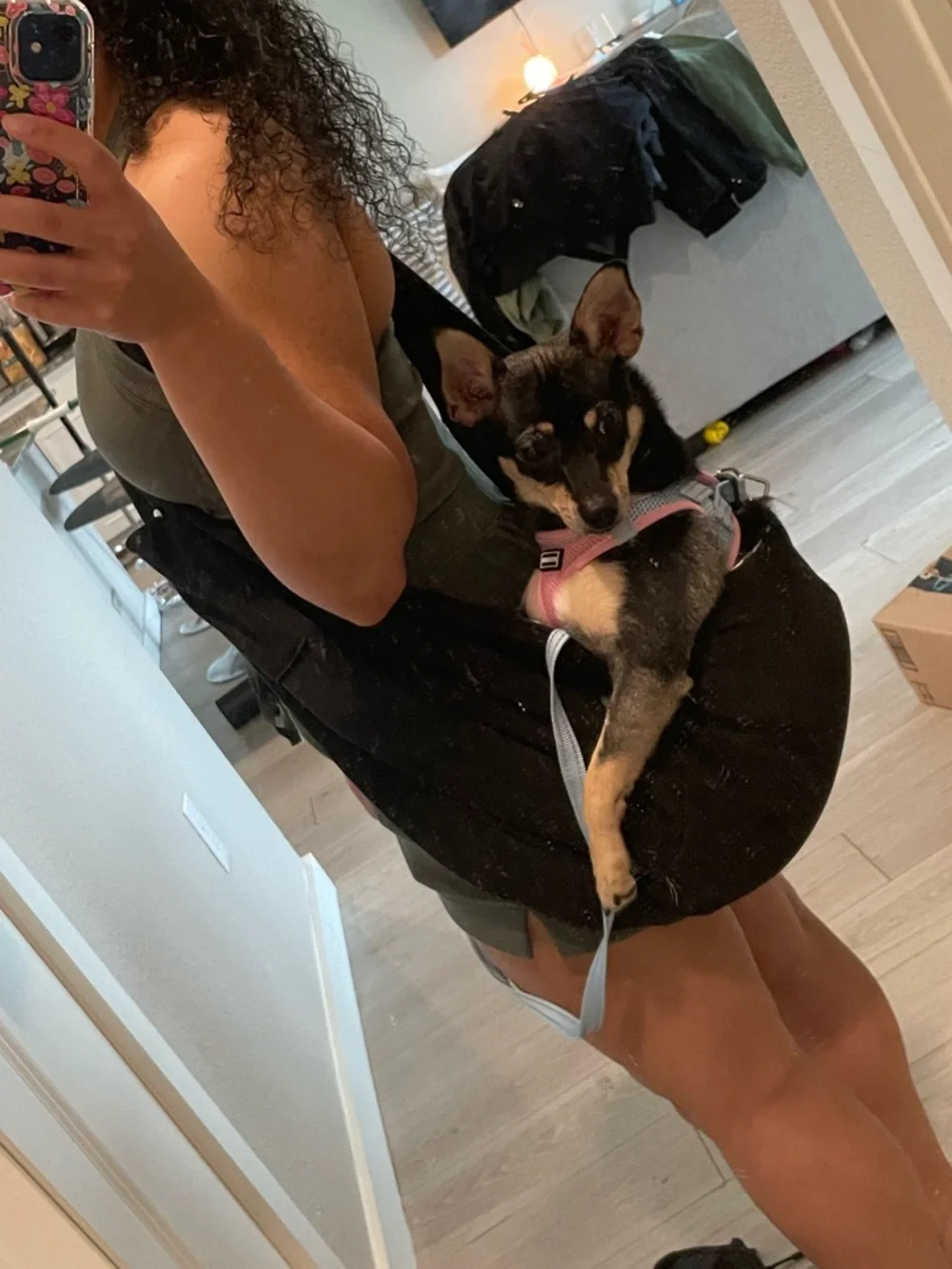 Black crossbody sling/pet carrier
